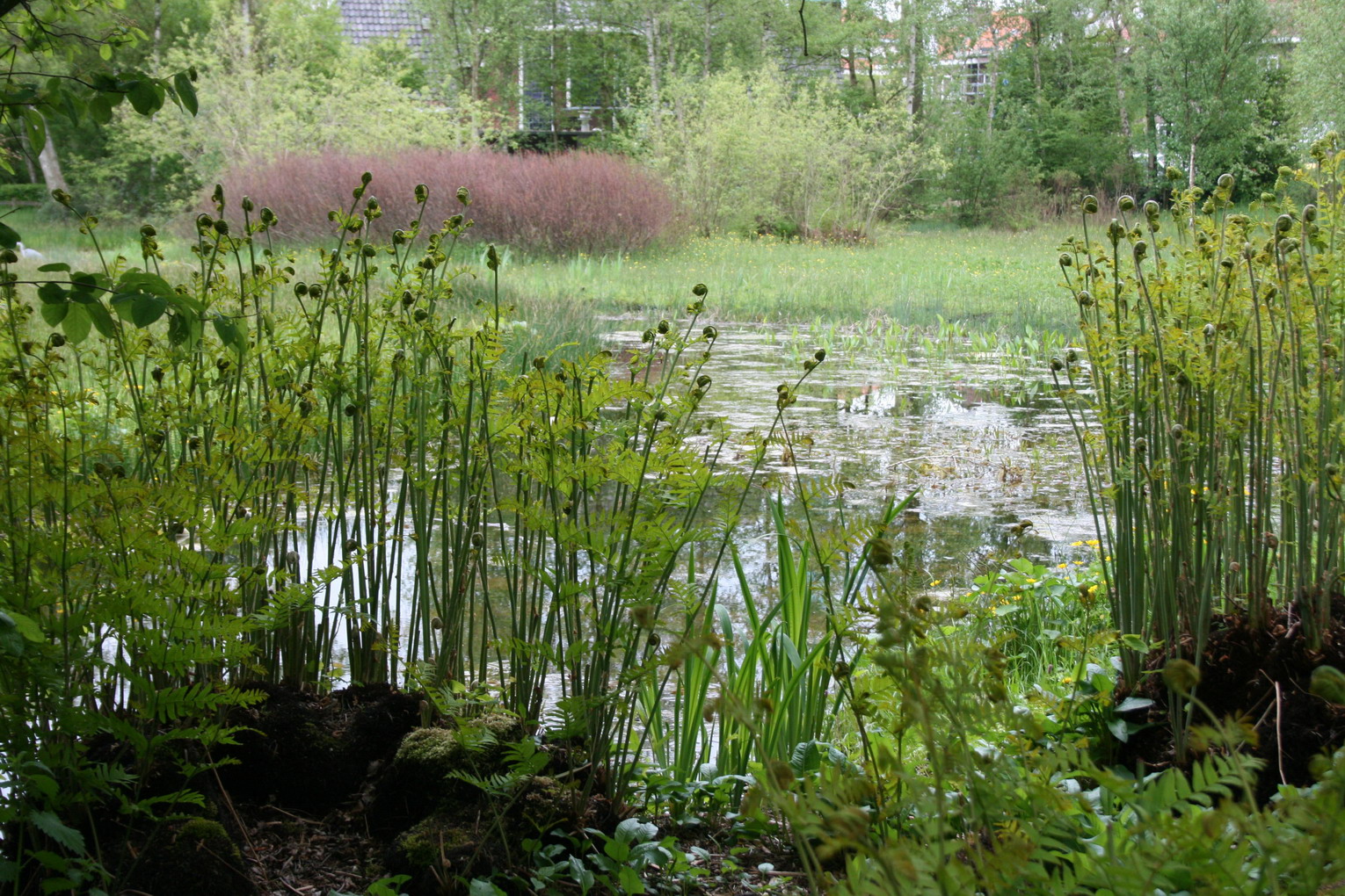 Natuurlijk Beheer